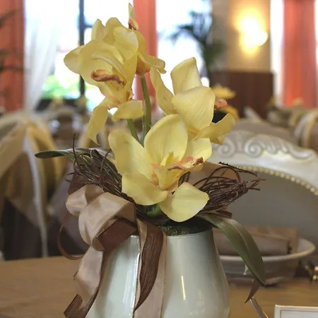 Hotel Donatella Pinarella Cervia