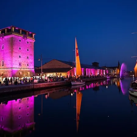 Donatella Pinarella 3*