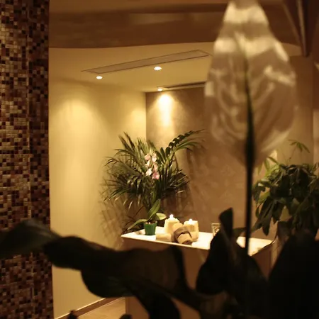 Donatella Pinarella 3* Τσέρβια