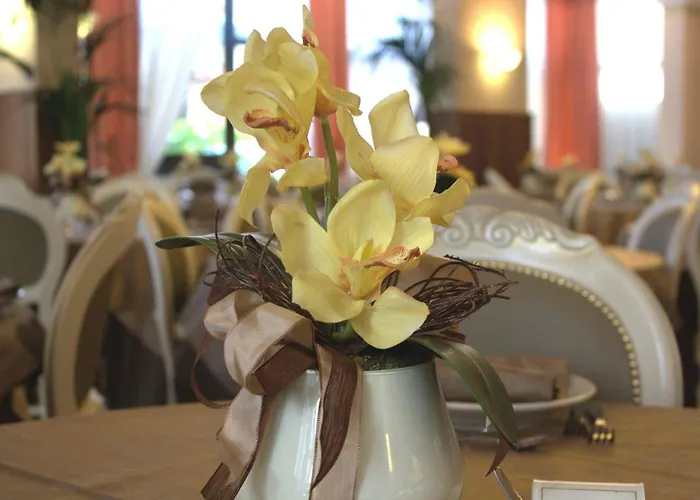 Hotel Donatella Pinarella Cervia