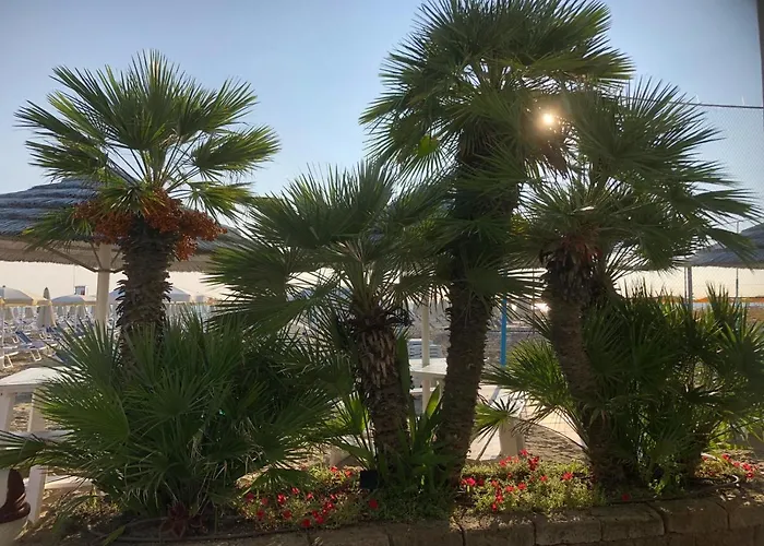 Hotel Donatella Pinarella 3*